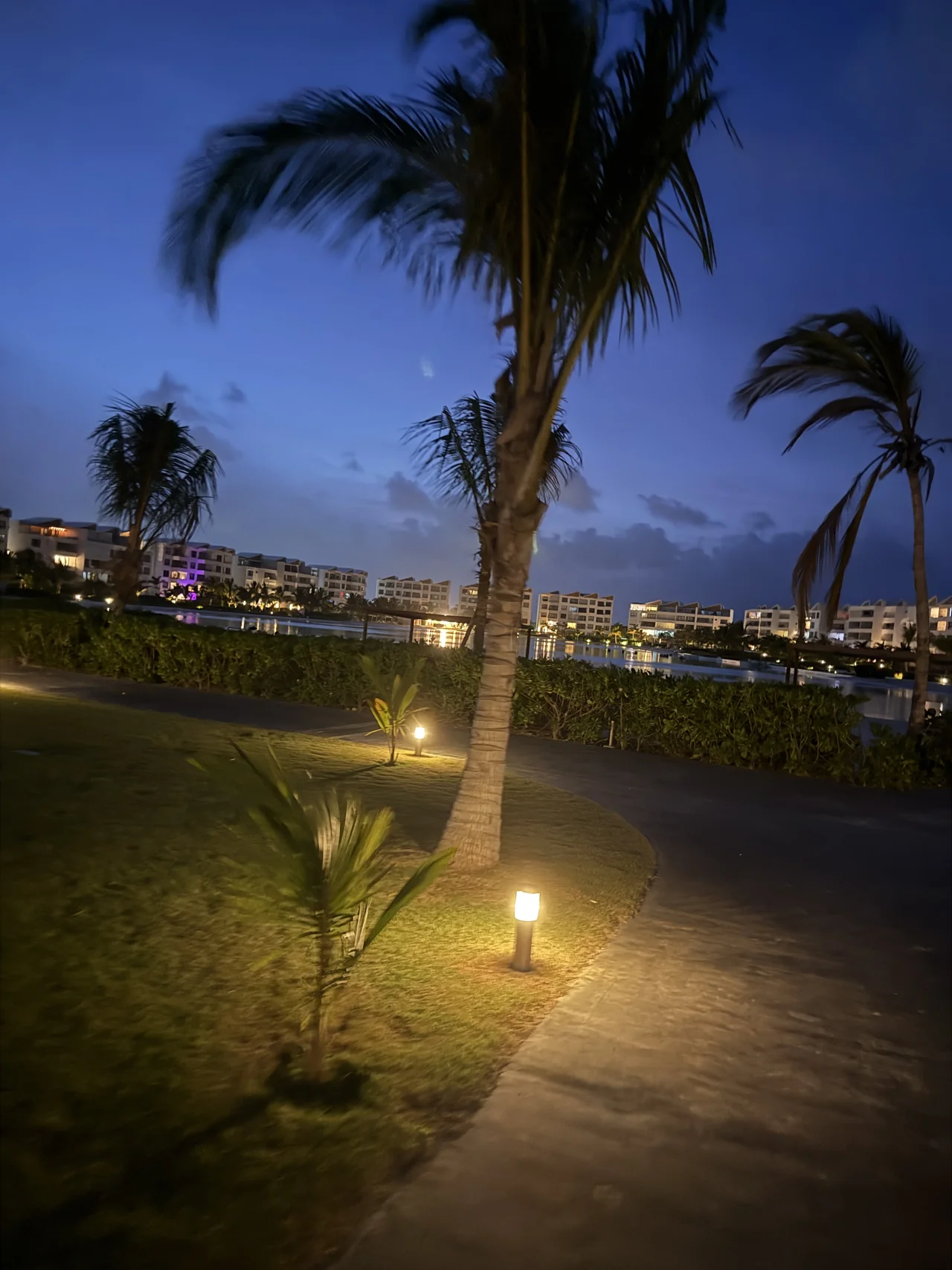 Palm trees against a blue evening sky